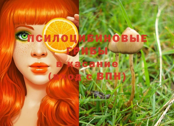 jwh Богородицк